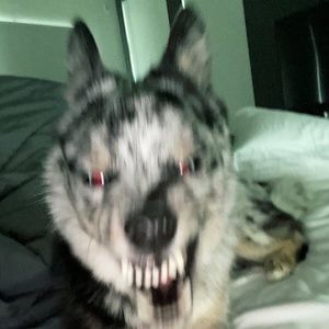 Meet your Posher, Kaydee